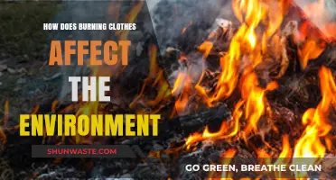 Burning Clothes: Unseen Environmental Impact and Sustainable Alternatives