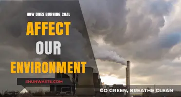 Burning Coal's Environmental Impact: Pollution, Climate Change, and Ecosystem Destruction