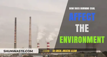 Burning Coal's Environmental Impact: Pollution, Climate Change, and Ecosystem Destruction