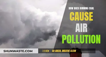 Unveiling the Coal-Fired Air Pollution Mystery: A Comprehensive Guide