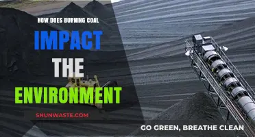 Burning Coal's Environmental Impact: Pollution, Climate Change, and Ecosystem Destruction