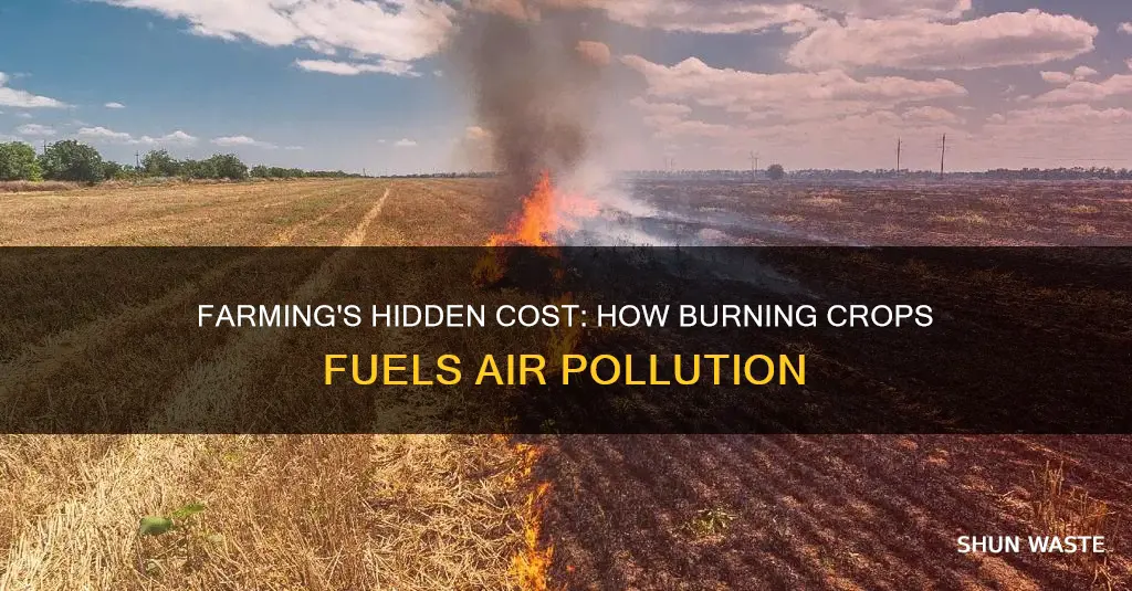 how does burning crops cause air pollution