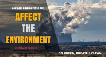 Burning Fossil Fuels: Environmental Impacts and Urgent Need for Change