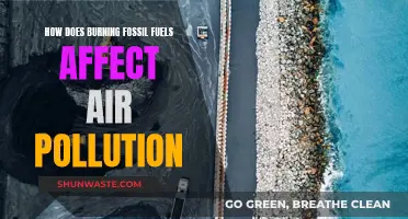 The Impact of Fossil Fuels on Air Pollution