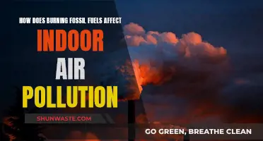 Fossil Fuel Burning: Indoor Air Pollution's Hidden Danger