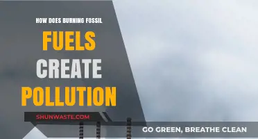 Fossil Fuels: Burning Questions on Pollution and Climate Change