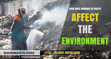 Burning Waste: Environmental Impacts and Sustainable Alternatives Explored