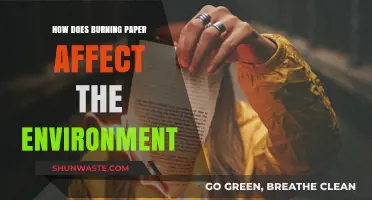 Burning Paper's Environmental Impact: Air Quality, Waste, and Sustainability Concerns