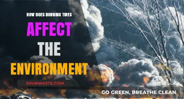 Burning Tires: Environmental Impact, Pollution, and Long-Term Consequences Explained