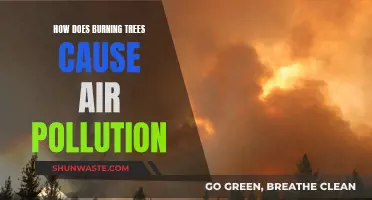 The Dark Side of Forest Fires: Unveiling Air Pollution's Impact