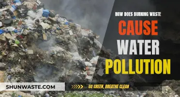 Waste's fiery impact: How burning trash pollutes our water