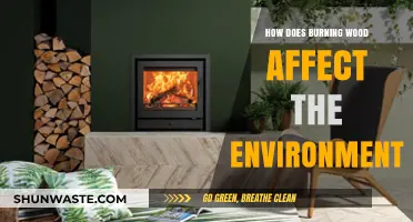 Burning Wood: Environmental Impacts and Sustainable Alternatives Explored
