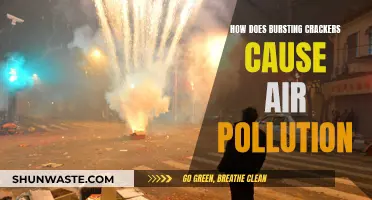 Crackers' Explosive Impact: Unveiling Air Pollution's Hidden Source