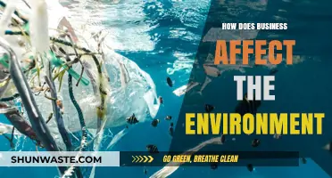 Business Impact: Environmental Consequences and Sustainable Solutions Explored