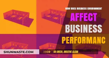 Impact of Business Environment on Performance: Key Factors and Insights