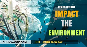 Business and the Environment: Understanding the Impact of Corporate Actions