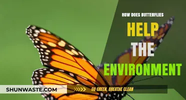 Butterflies' Vital Role in Pollination, Biodiversity, and Ecosystem Health