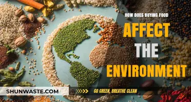 Food Choices Matter: Environmental Impact of Your Grocery Purchases