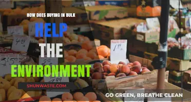 Sustainable Savings: How Buying in Bulk Benefits the Environment