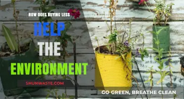 Sustainable Living: How Buying Less Protects Our Planet and Resources