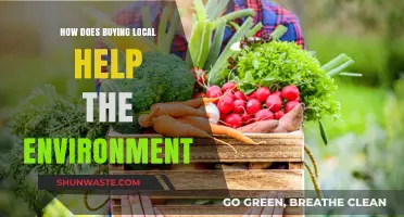 Buying Local: A Sustainable Choice for a Greener Environment