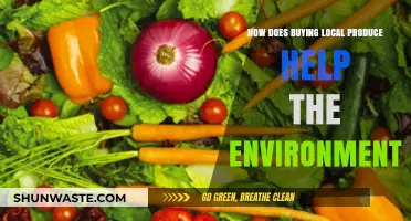 Supporting Local Farms: How Buying Local Produce Benefits the Environment