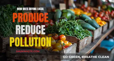 Local Produce, Global Impact: Reducing Pollution through Smart Shopping