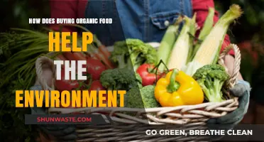 Organic Food Choices: A Sustainable Path to Environmental Preservation