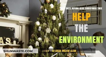 Eco-Friendly Holidays: Real Christmas Trees' Surprising Environmental Benefits