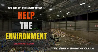 Sustainable Shopping: How Recycled Products Protect Our Planet