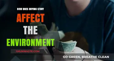 The Environmental Impact of Consumerism: How Our Purchases Shape the Planet