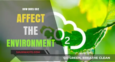 CO2's Environmental Impact: Climate Change, Ecosystems, and Global Consequences