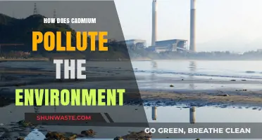 Cadmium's Toxic Legacy: Environmental Pollution Sources and Effects