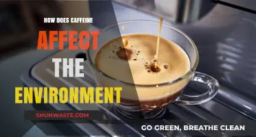 Caffeine's Ecological Footprint: Exploring Its Impact on Our Environment