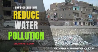 Cairo's Innovative Strategies to Combat Water Pollution