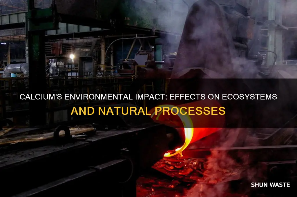 how does calcium affect the environment
