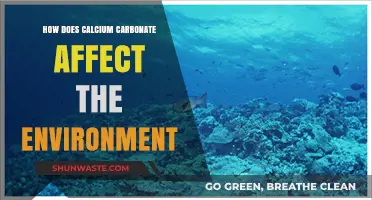 Calcium Carbonate's Environmental Impact: Benefits, Risks, and Sustainability