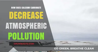 Calcium Carbonate: Reducing Pollution, Saving the Environment