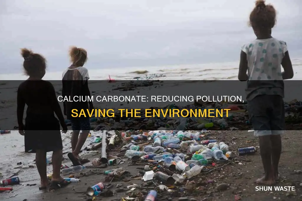 how does calcium carbonate decrease atmospheric pollution