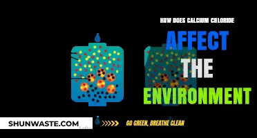Calcium Chloride's Environmental Impact: Effects on Ecosystems and Wildlife