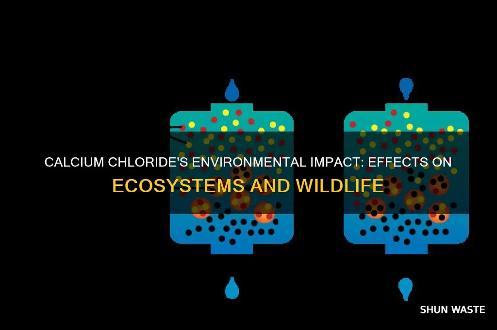 how does calcium chloride affect the environment