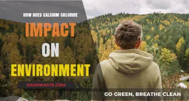 Calcium Chloride's Environmental Impact: Effects, Risks, and Sustainability Concerns