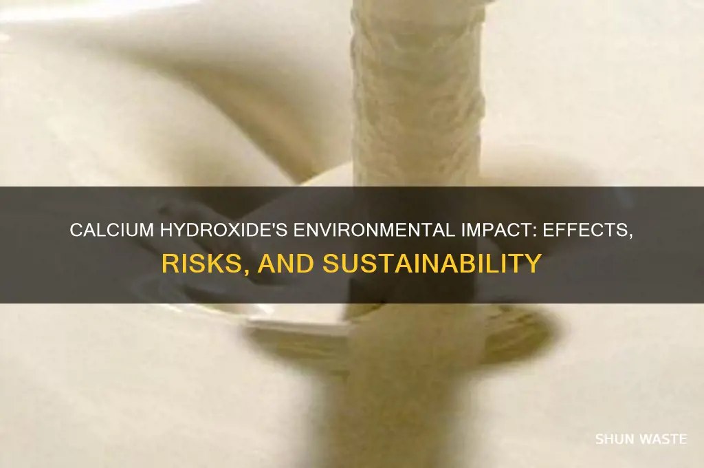 how does calcium hydroxide affect the environment