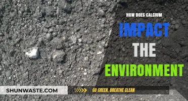 Calcium's Environmental Impact: Effects on Ecosystems and Sustainability