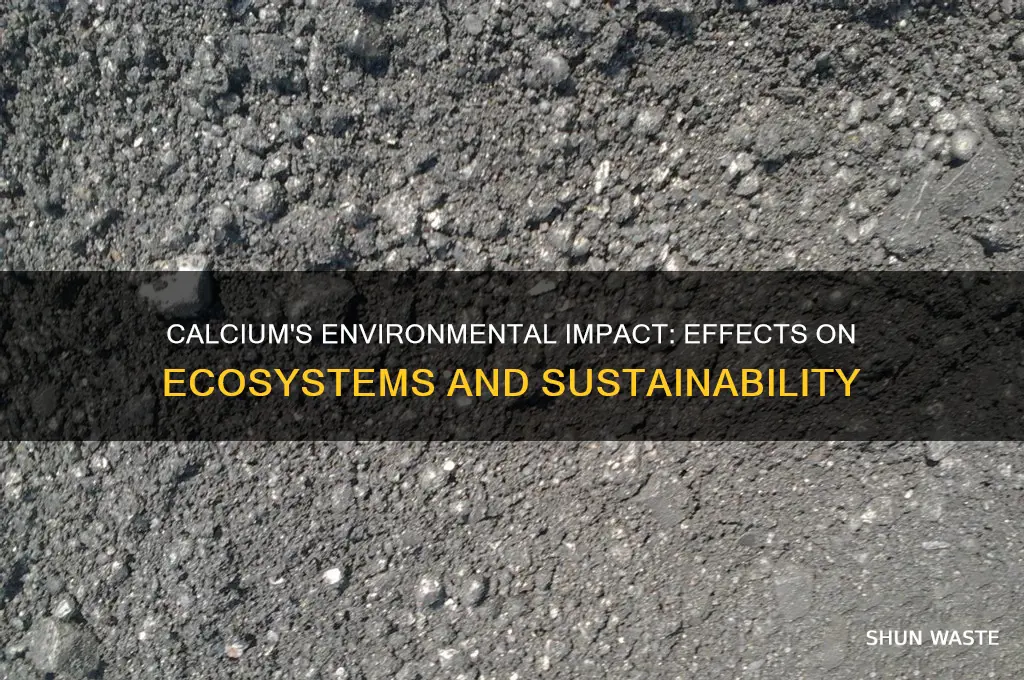 how does calcium impact the environment