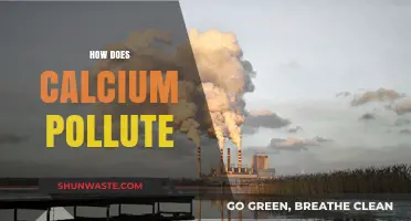 Calcium's Dark Side: Pollution's Unseen Impact