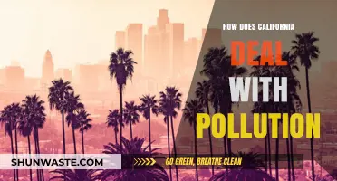 California's Pollution Control: Strategies and Challenges