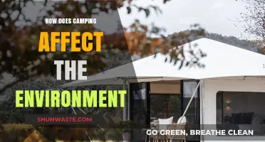 Camping's Environmental Impact: Balancing Nature and Human Recreation