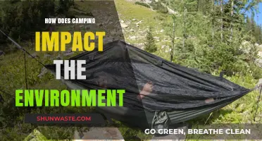 Camping's Environmental Footprint: Balancing Adventure with Nature's Preservation