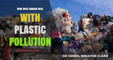 Canada's Plastic Pollution Battle: Strategies and Initiatives